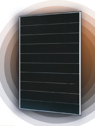 Prodotti esclusivi Energetic